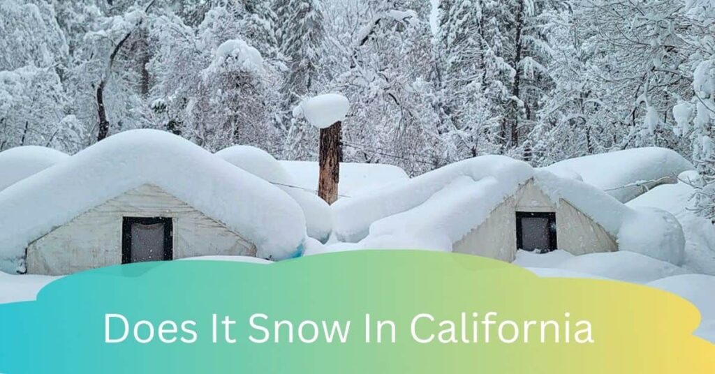 Does It Snow In California